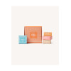Aleppo soap box