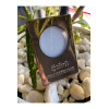 Wet & Dry Powder Lidschatten