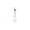 Lipstick - Color Sensational - 166 Copper filler
